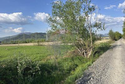 Teren 4,824mp Baia Mare / Strada Sebesului - 3
