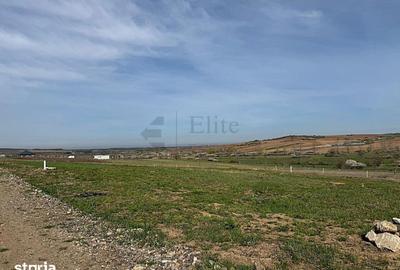Teren de 700 mp, în Paleu - 2