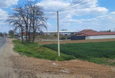 Teren Construcții intravilan de 4300 mp, în Petin - 3