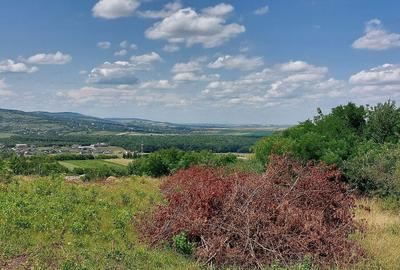 Spațiu comercial, în Curături - 2