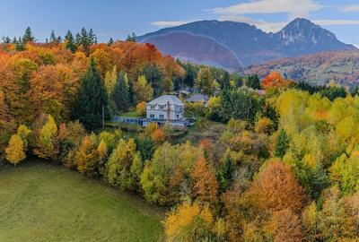 Hotel/Pensiune, de 356 mp, în Poiana Mărului - 6