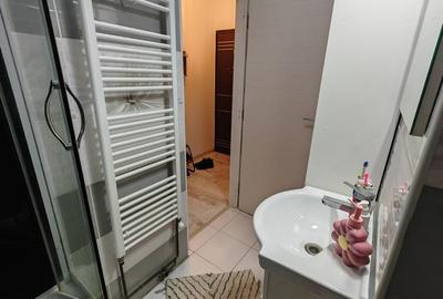 Apartament cu 2 camere în Brazda lui Novac - 6