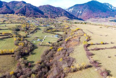 Teren Construcții intravilan de 2500 mp, în Tohănița - 5