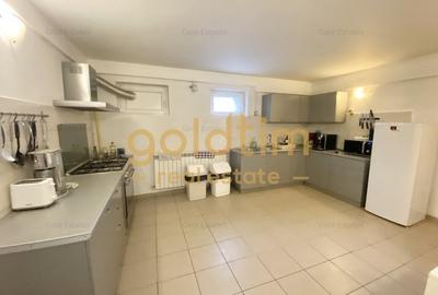 VILA SUPERBA 7 CAMERE, 330MP, D+P+2+M, PTA. DOMENII-STRADAL,2004/BIROURI-CLINICA - 12