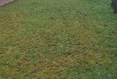 Casă individuală cu 3 camere cu Canalizare în Izvoare - 10