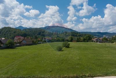 Teren comercial intrare Sacele - Centura- DN1A - 3