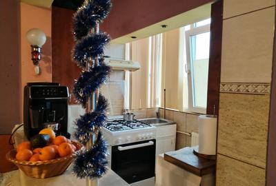 Apartament Studio - Brazda lui Novac - 9