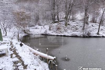 Casa de vacanta, cu lac, 5640 mp teren, Huta, com. Chiuiesti, jud. Cluj - 44