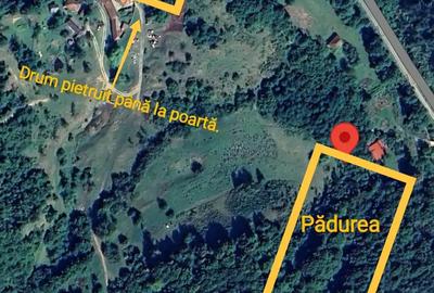 Casă cu 4 camere în Cărpinet - 2