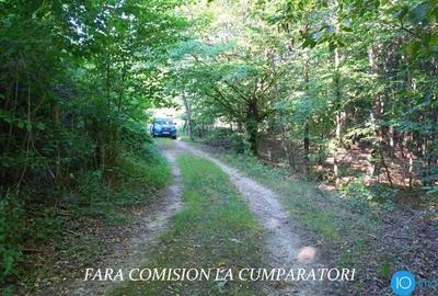 TEREN 6700 MP, INTRAVILAN LANGA PADURE - 5