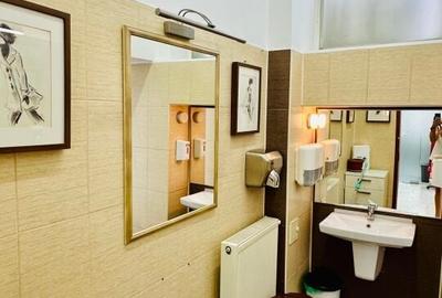 Armeneasca - Pache Protopopescu apartament in vila arhitectura deosebita - 16