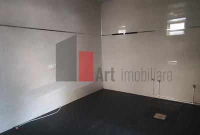 Spatiu comercial Piata Unirii-Rond Cosbuc, trafic pietonal - 11