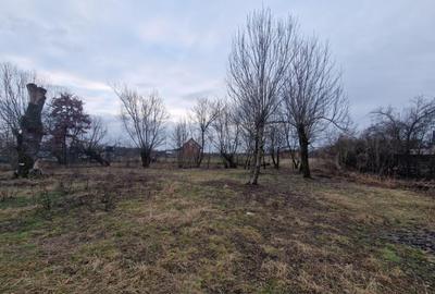 Casă cu 3 camere cu Teren 1800 Mp în Mogoșești - 4