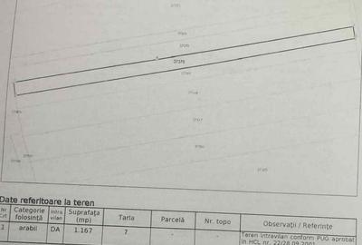 Teren intravilan Comana 2.300 mp deschidere 12,5 m utilitati la strada - 4