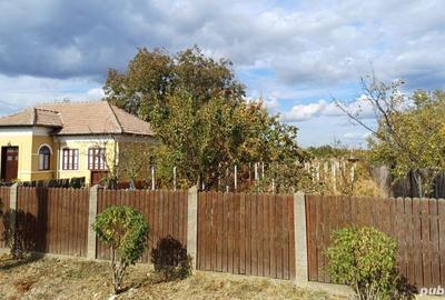 Casă cu 2 camere în Giurgița - 10