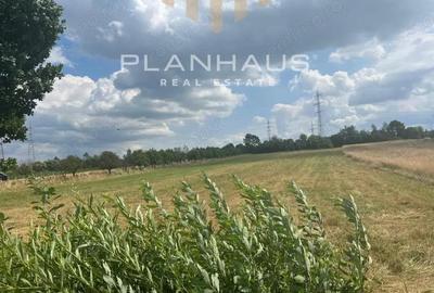 Teren extravilan Vrancei ,Baia Mare,Satu Nou de Sus 3600 mp - 2