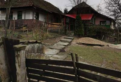 Casă cu 2 camere în Șincai - 7