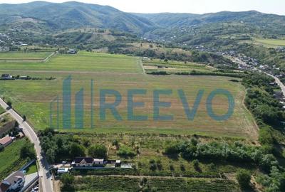 Teren de 7366 mp, în Sărata - 1