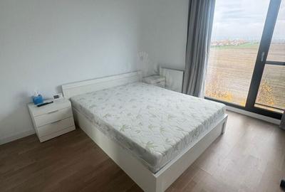 Apartament cu 2 camere decomandat, mobilat în Albert - 11