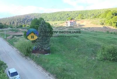 TEREN intravilan PIATRA NEAMT strada DRAGOS VODA (Valea Viei) TEREN intravilan PIATRA NEAMT strada DRAGOS VODA (Valea Viei) - 2