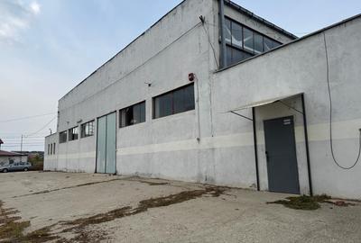 Propietate Industriala in spate la Dedeman - Str. Pades - 3