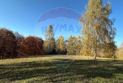 Oportunitate de investiție ! Teren de vis în Pestera - 125.370 mp - 10