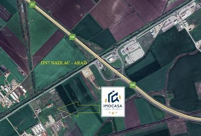 Teren Construcții extravilan de 6000 mp, în Exterior Nord - 3