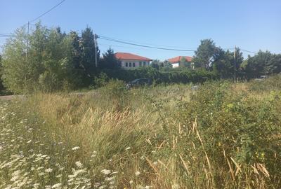 Domnesti, strada Radului Domnesti, strada Radului - 2