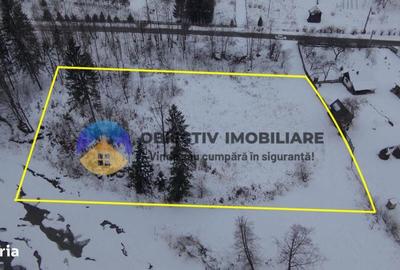 Teren de 2283 mp, în Tarcău - 14