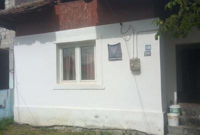 Casă cu Teren 8643 Mp în Târgu Cărbunești - 3