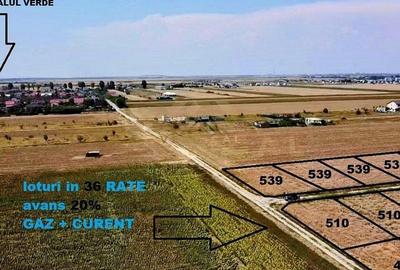Teren Construcții intravilan de 539 mp, în Berceni