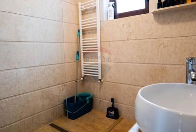 Vanzare - vila 4 camere de complet mobilata, str. Caisului - Dobroesti - 22