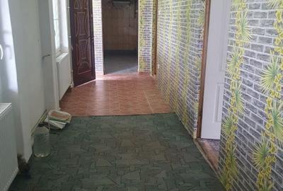 Casă cu 2 camere în Turnu - 7