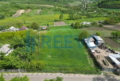 Teren de 5351 mp, în Roșiori - 10