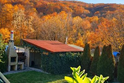 Casă cu 6 camere cu Canalizare în Budești - 3