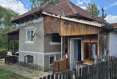 Casă cu Teren 4012 Mp în Bogdănești (Tomșani)