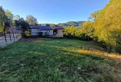 Teren de 1194 mp, în Piatra (Provița de Jos) - 7