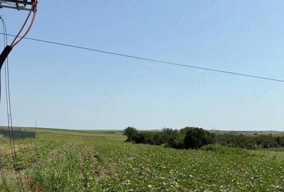 Teren de 8600 mp, în Central - 5