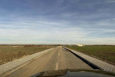 Teren de 12000 mp, în Dragomirești-Vale - 7