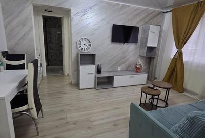 Apartament cu 2 camere semidecomandat, mobilat în Viziru 1 - 9