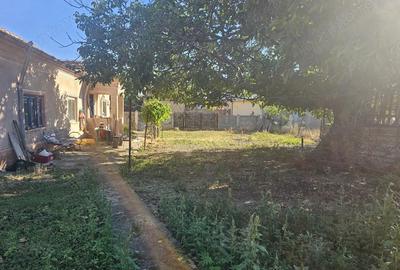 Casă în Turnu Măgurele - 1