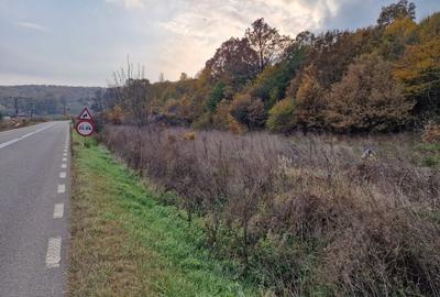 Teren în Moinești - 9