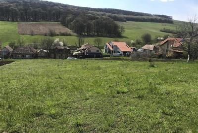 Teren intravilan, PUZ, gaz, apa, Remetea- Tg. Mures - 4