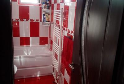 Apartament cu 2 camere semidecomandat în Roșia - 8