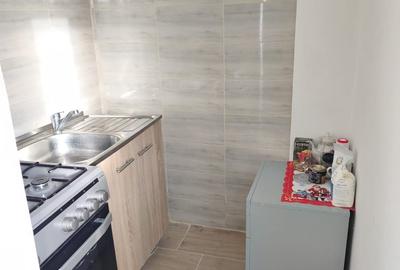 Apartament cu 3 camere decomandat în Calea Călărașilor - 17