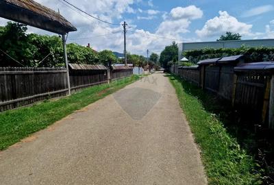 Teren intravilan 1000 mp Vii?oara, utilita?i - 4