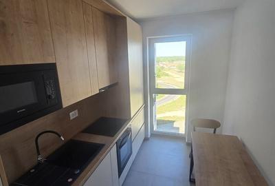 Apartament cu 2 camere decomandat în Lipovei - 2