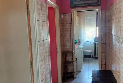 Apartament cu 2 camere decomandat în Aradul Nou - 8