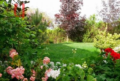 Casă individuală cu 5 camere cu Canalizare în Snagov - 7