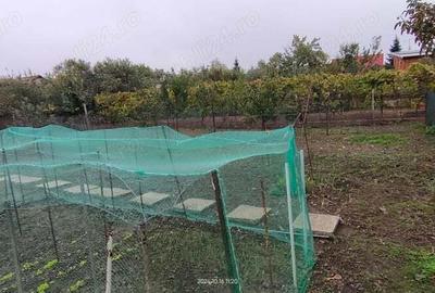 Casă cu 3 camere în Mehala - 14